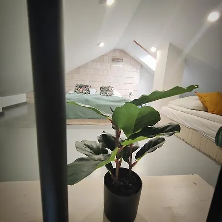 M&k Magiczny Las, - Wyspa Sobieszewska * Gdansk