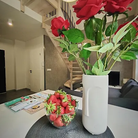 M&k Magiczny Las, - Wyspa Sobieszewska Gdansk