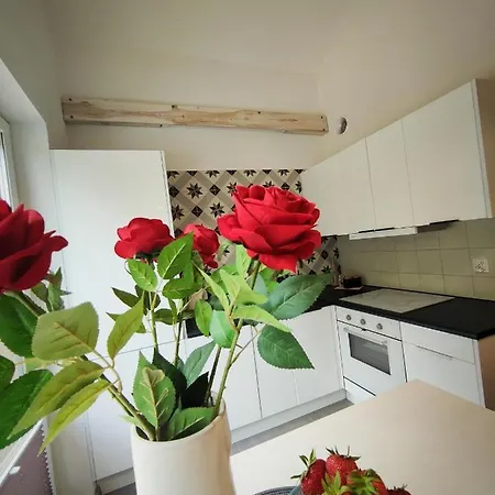 Apartment M&k Magiczny Las, - Wyspa Sobieszewska *