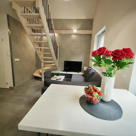 M&k Magiczny Las, - Wyspa Sobieszewska Gdansk