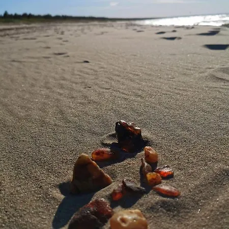 M&k Magiczny Las, - Wyspa Sobieszewska アパート