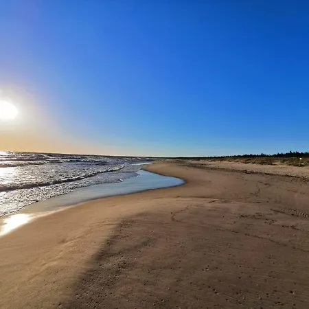 M&k Magiczny Las, - Wyspa Sobieszewska *