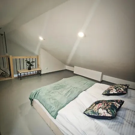 M&k Magiczny Las, - Wyspa Sobieszewska * Gdansk