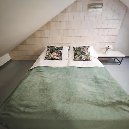 M&k Magiczny Las, - Wyspa Sobieszewska * Gdansk