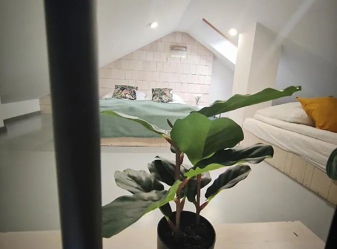 M&k Magiczny Las, - Wyspa Sobieszewska * Гданьск