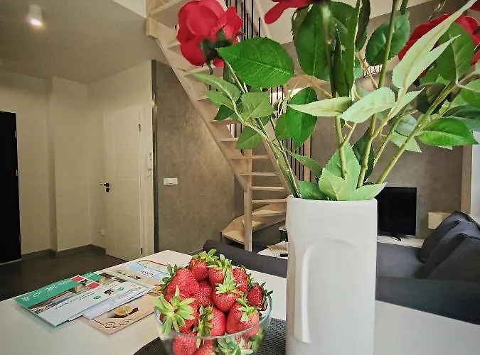 M&k Magiczny Las, - Wyspa Sobieszewska Gdańsk