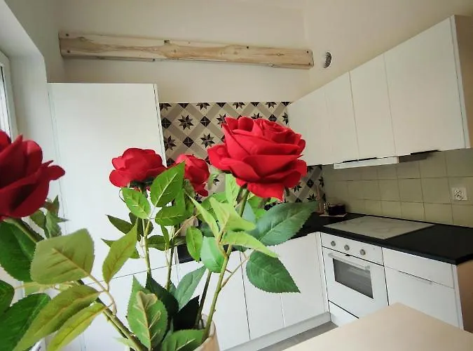 Апартаменты M&k Magiczny Las, - Wyspa Sobieszewska *