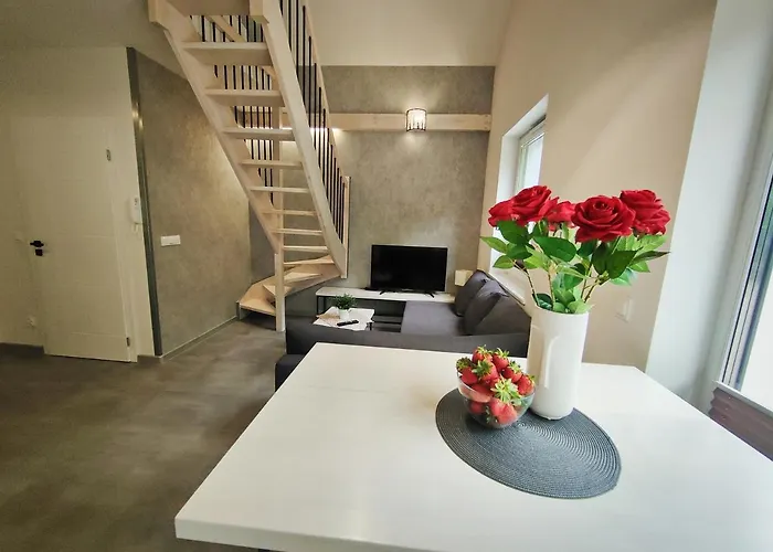 M&k Magiczny Las, - Wyspa Sobieszewska Gdańsk