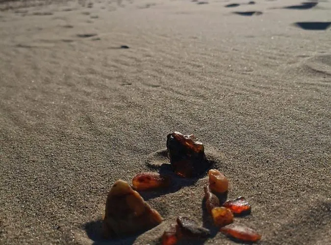 M&k Magiczny Las, - Wyspa Sobieszewska Apartman