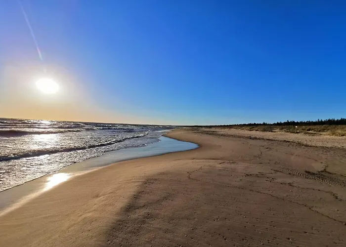 M&k Magiczny Las, - Wyspa Sobieszewska *