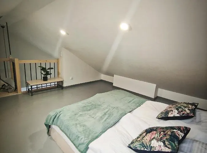 M&k Magiczny Las, - Wyspa Sobieszewska * Gdańsk