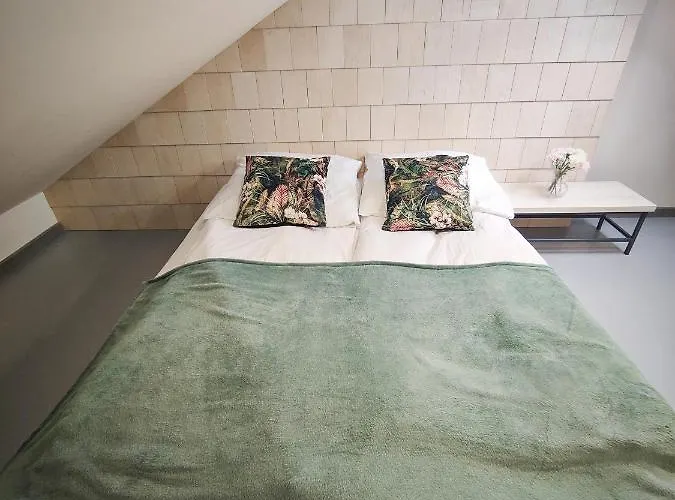 M&k Magiczny Las, - Wyspa Sobieszewska * Gdańsk