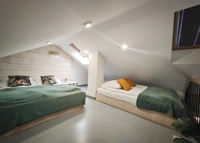 M&k Magiczny Las, - Wyspa Sobieszewska Apartman Gdańsk