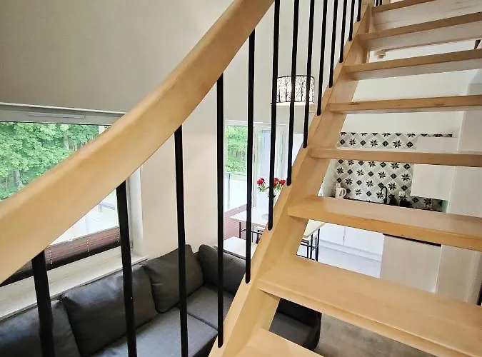 M&k Magiczny Las, - Wyspa Sobieszewska Gdańsk